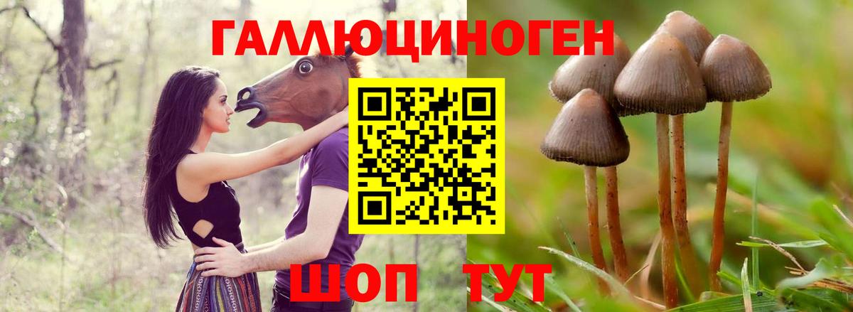 Грязи  Галлюциногенные грибы MAGIC MUSHROOMS  Вход с VPN 